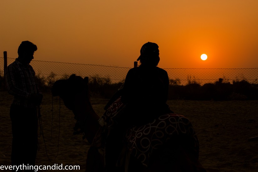 Self Drive, Road Trip, India, Rajasthan, Ford Figo, Bikaner, Mandawa, Haveli, Travel, Photography, Photo, forts, Desert, Thar, Camel, Bhujia, Jaipur, Desert Safari, Camel Ride