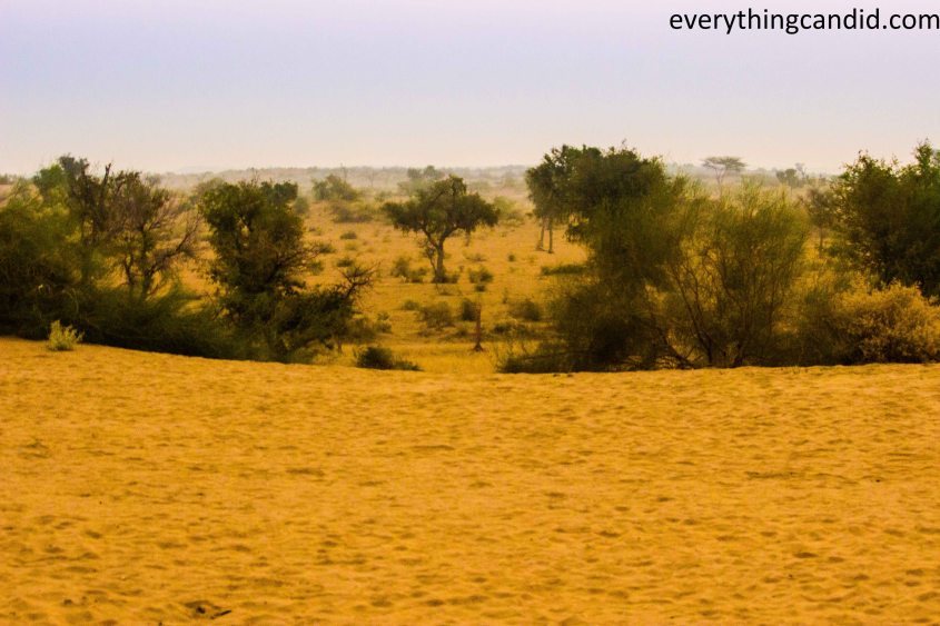 Desert Safari, Thar Desert, Rajasthan, India, Camel Ride, Travel, Camping, Desert Night