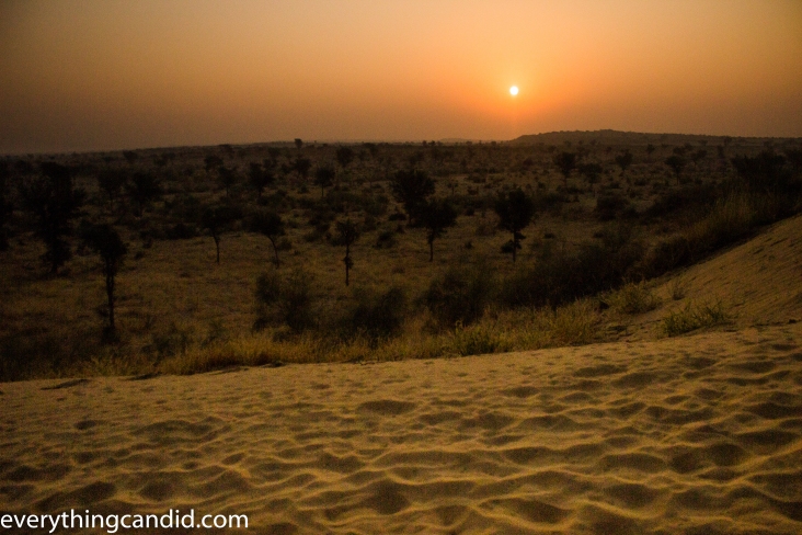 Desert Safari, Thar Desert, Rajasthan, India, Camel Ride, Travel, Camping, Desert Night, Sunrise, Sunset