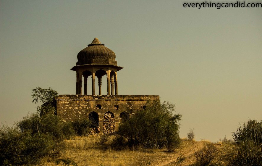 Self Drive, Road Trip, India, Rajasthan, Ford Figo, Bikaner, Mandawa, Haveli, Travel, Photography, Photo, forts, Desert, Thar, Camel, Bhujia, 