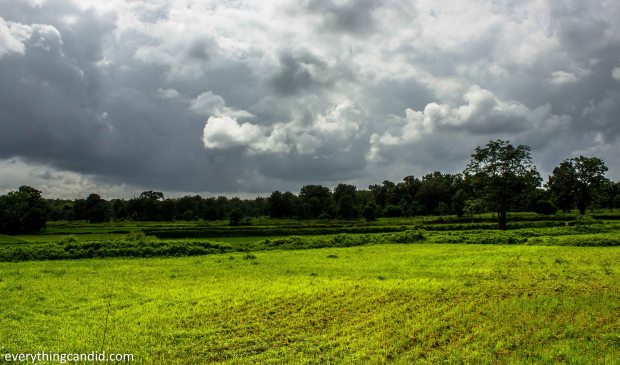 Landscape of Chhattisgarh