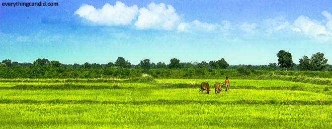 Chhattisgarh, Travel. Road Trip, Landscape, 