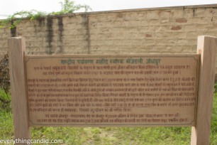 Khejrali Village - Bishnoi - Jodhpur-3